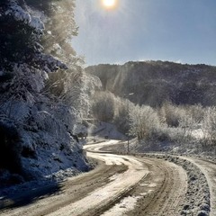 Дорога до дому