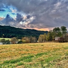 С поза ранку