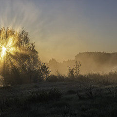 "Млинок", казав Юра Литвинов...