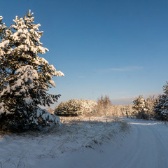 Зимовими дорогами...