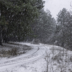 Снігопад...