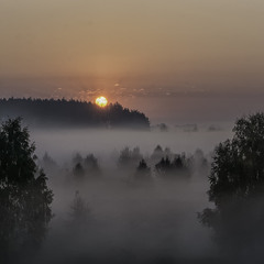 Миколині тумани...
