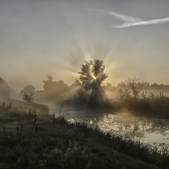 Миколині тумани...