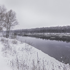 Десна зимова...