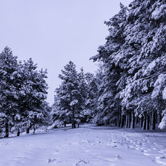 В гостях у казки...