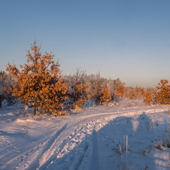 Зимова дорога...