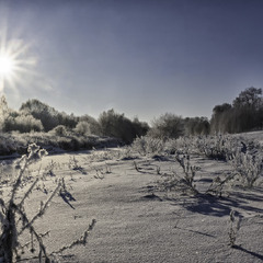 Зимовий ранок...