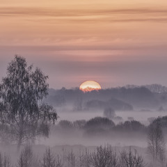 Миколині тумани...