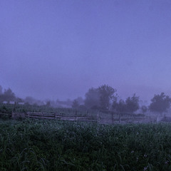 Туман в селі...