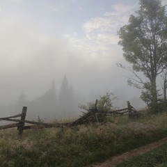 Яблунівські тумани