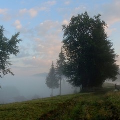 Яблунівські тумани