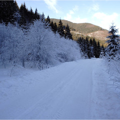 Дорога в зиму-3...
