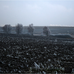 Зимово-польовий пейзаж 2...