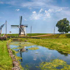 літо в Голландії