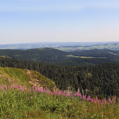 Вид с самой высокой точки Шварцвальда