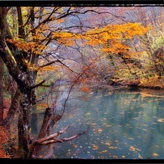 Осень на Черной речке