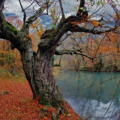 Осень на Черной речке 2