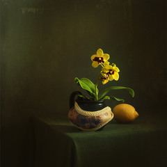 натюрморт с орхидеей и лимоном