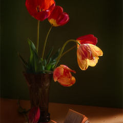 натюрморт с тюльпанами
