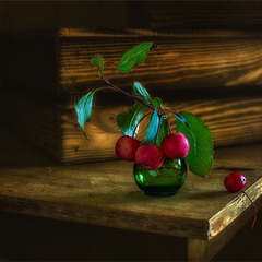 натюрморт с райскими яблочками