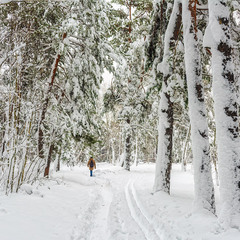 прогулка в зиму