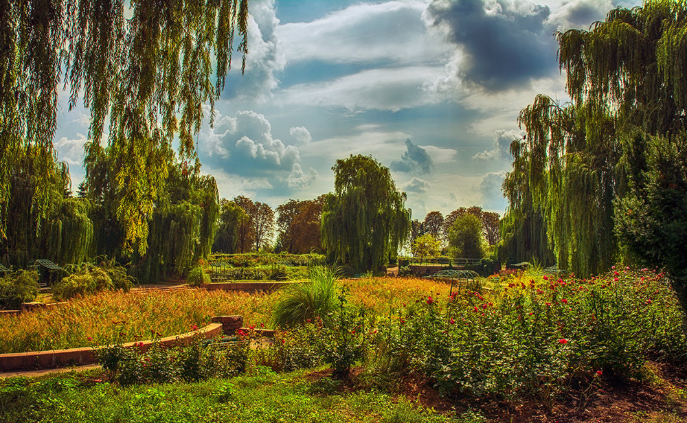 Парк в деревне