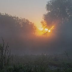 Вся в тумане река,ясно-солнце встаёт...