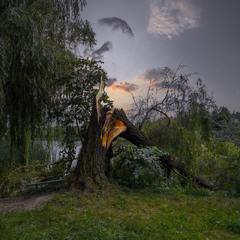 Біля річки Рось