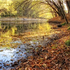 Осенний пруд...