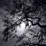 Холодне сонце