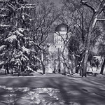 Чернігівська зима