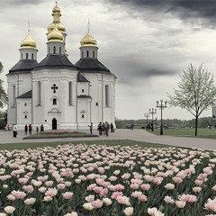 Катерининська церква.