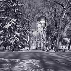 Чернігівська зима