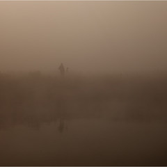 Пейзажист в тумане