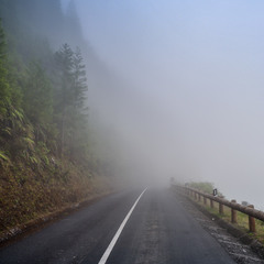 В туман уходит дорога