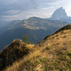 Домінатркікс