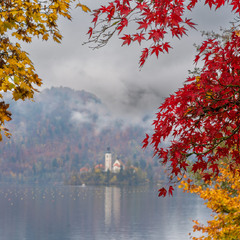 Аніме мотиви Бледського озера