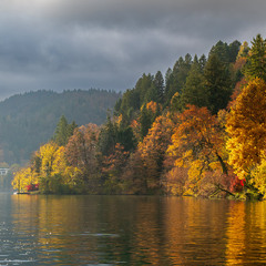 Жовтневі пожежі