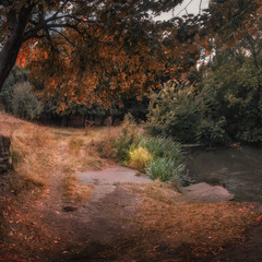 Вдоль реки по Осени