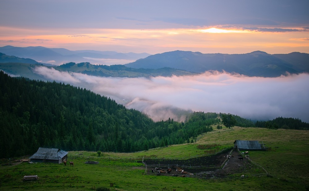 Карпаты Полонина