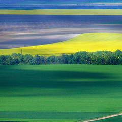 поля на львівщині (панорама)