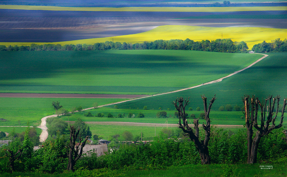 Украинские поля. Украинское поле. Украинские поля фото. Земли Украины. Украинские земли фото.