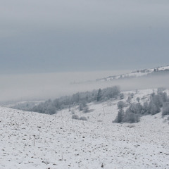 Зимний туман.