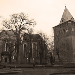Костел Святого Варфоломея.
