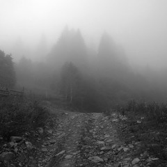 Карпатский туман.