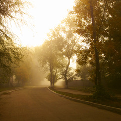 Осенний туман на улице спального района.