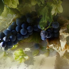 "Виноград" із серії "Радію...що осінь!!!"