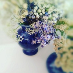 І♥ flowers