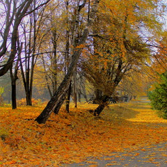 Жовтогаряче листя навкруги. Палає осінь полум`ям нестерпним.