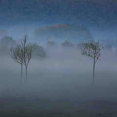 impressionistic fog